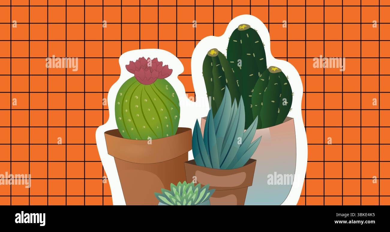 Mostra cactus e succulenti in vaso con fiori rosa e gialle centrati sullo sfondo della griglia arancione Foto Stock