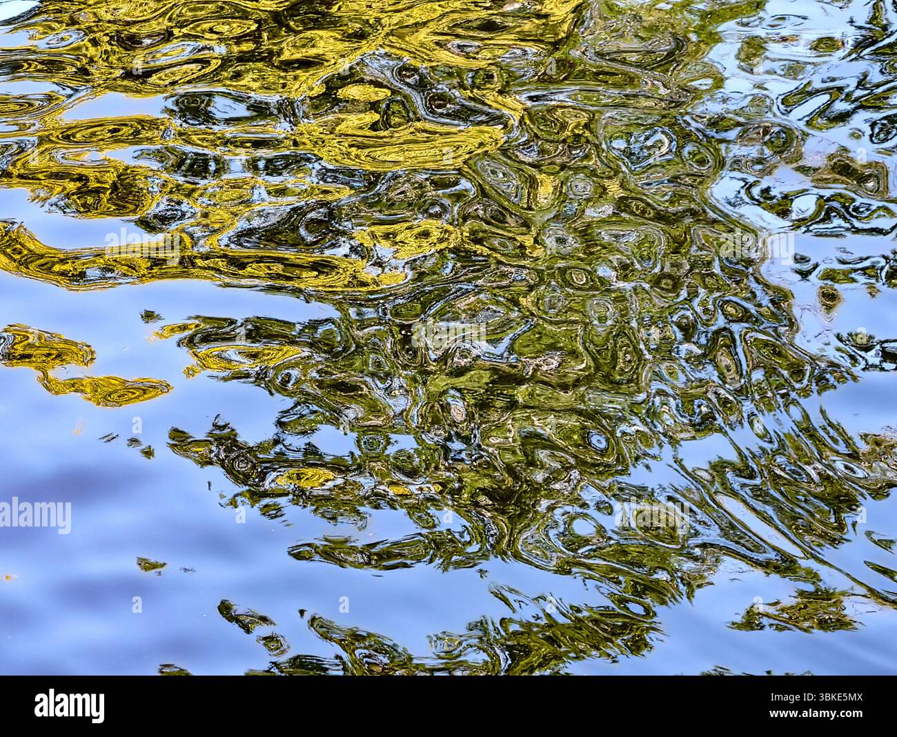 Splendidi riflessi di lussureggiante vegetazione e vibrante cielo blu sull'acqua increspata, Un accattivante sfondo naturale astratto per gli amanti dell'arte, perfetto per arredamento, arte murale e design creativi. Foto Stock