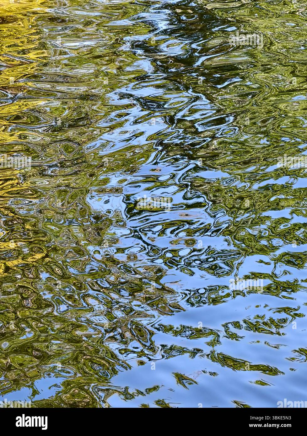 Riflessi di vegetazione lussureggiante e il vibrante cielo blu sull'acqua increspata, Un accattivante sfondo naturale astratto per gli amanti dell'arte, perfetto per l'arredamento domestico, l'arte murale e i design creativi in cerca di eleganza Foto Stock