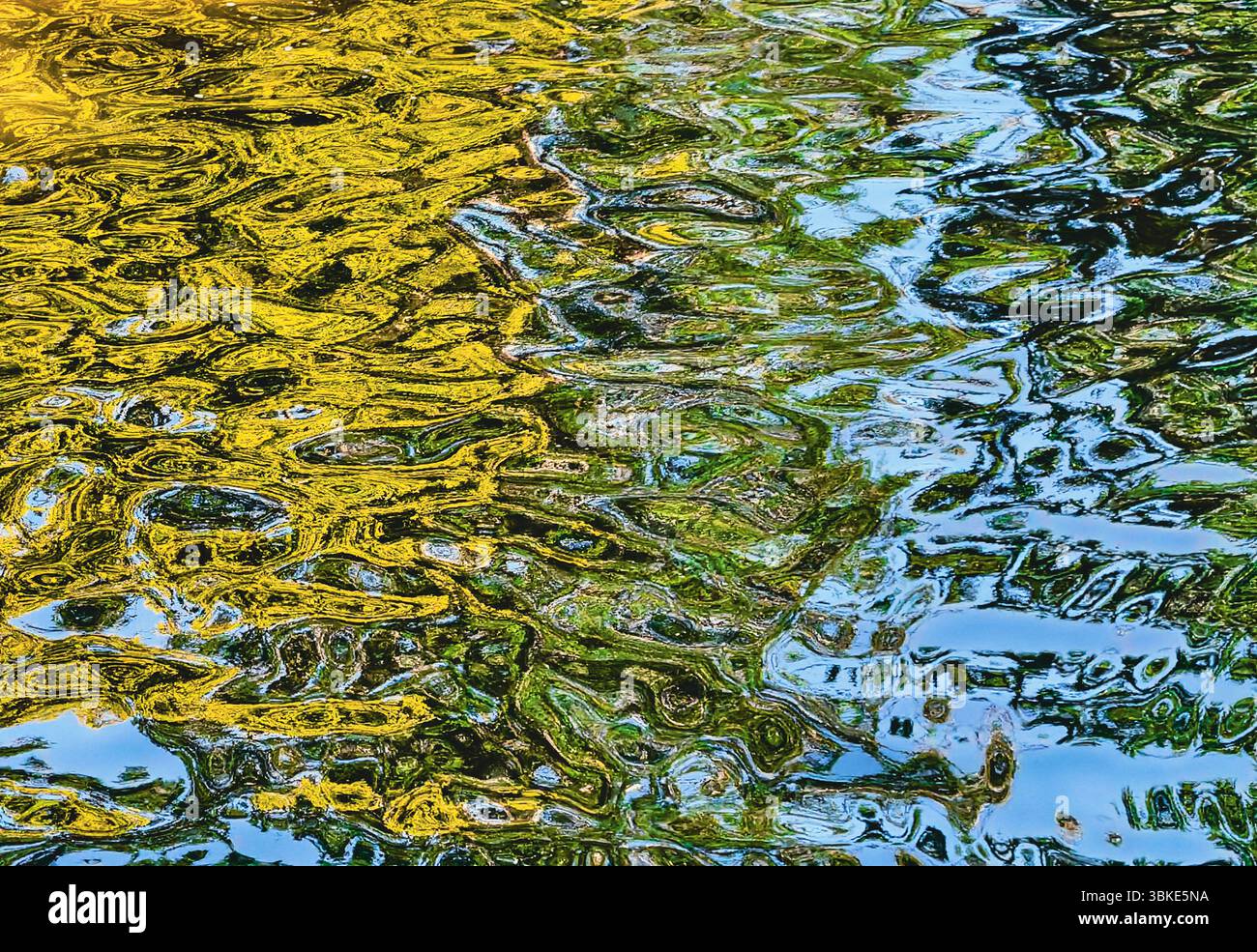 Riflessi di vegetazione lussureggiante e il vibrante cielo blu sull'acqua increspata, Un accattivante sfondo naturale astratto per gli amanti dell'arte, perfetto per l'arredamento domestico, l'arte murale e i progetti creativi alla ricerca di bellezza Foto Stock