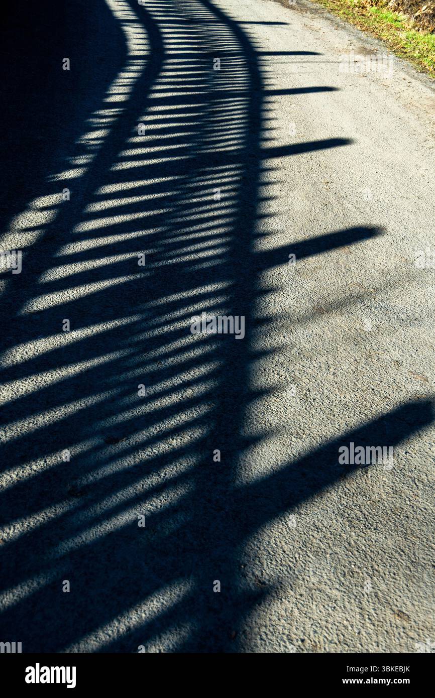 Le ombre proiettate da una recinzione si estendono lungo un percorso illuminato dal sole, creando un'intrigante interazione di luce e buio. Francia Foto Stock