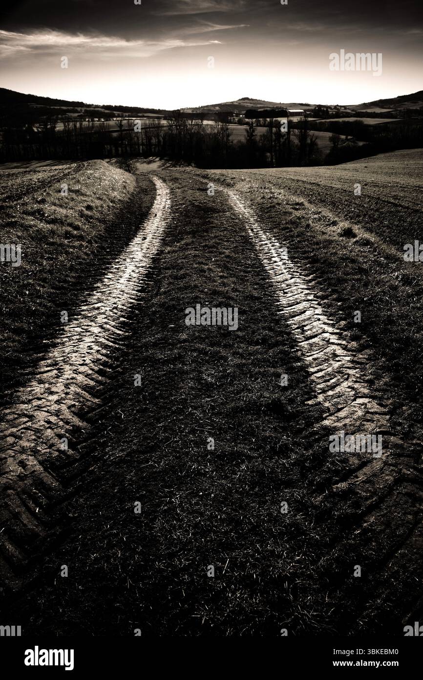 Le tracce degli pneumatici attraversano un terreno buio e rurale, che al crepuscolo conduce verso colline ondulate sotto un cielo umido. Puy de dome. Alvernia . Francia Foto Stock