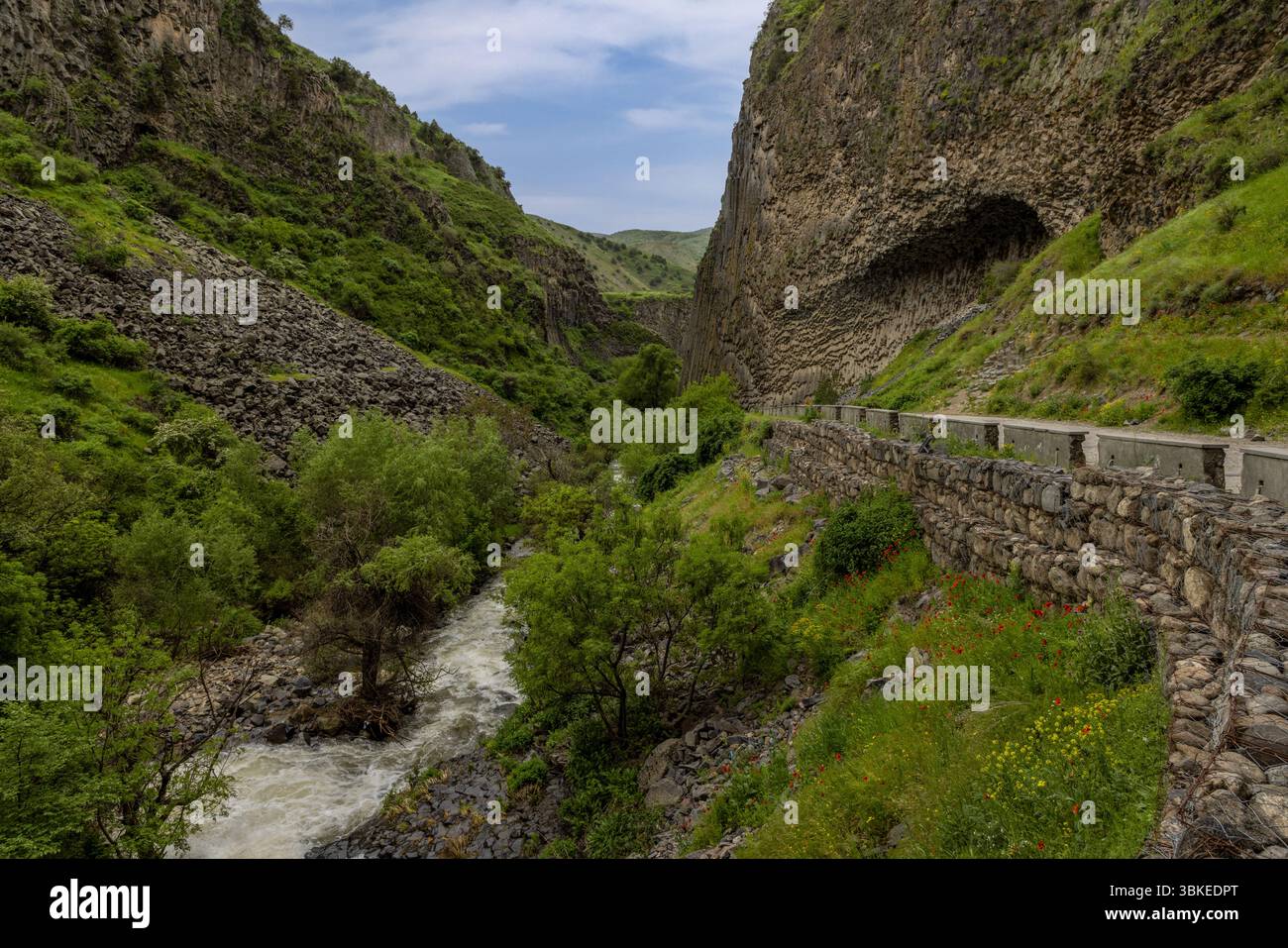 La Sinfonia delle pietre nella Gola di Garni presenta notevoli colonne di basalto, una testimonianza della storia vulcanica e geologica dell'Armenia. Foto Stock