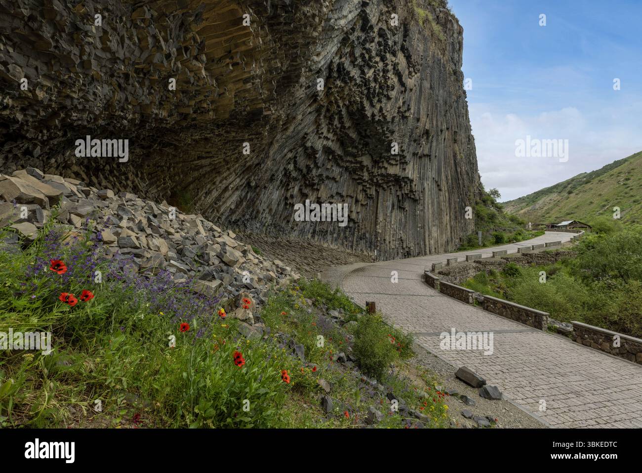 La Sinfonia delle pietre nella Gola di Garni presenta notevoli colonne di basalto, una testimonianza della storia vulcanica e geologica dell'Armenia. Foto Stock