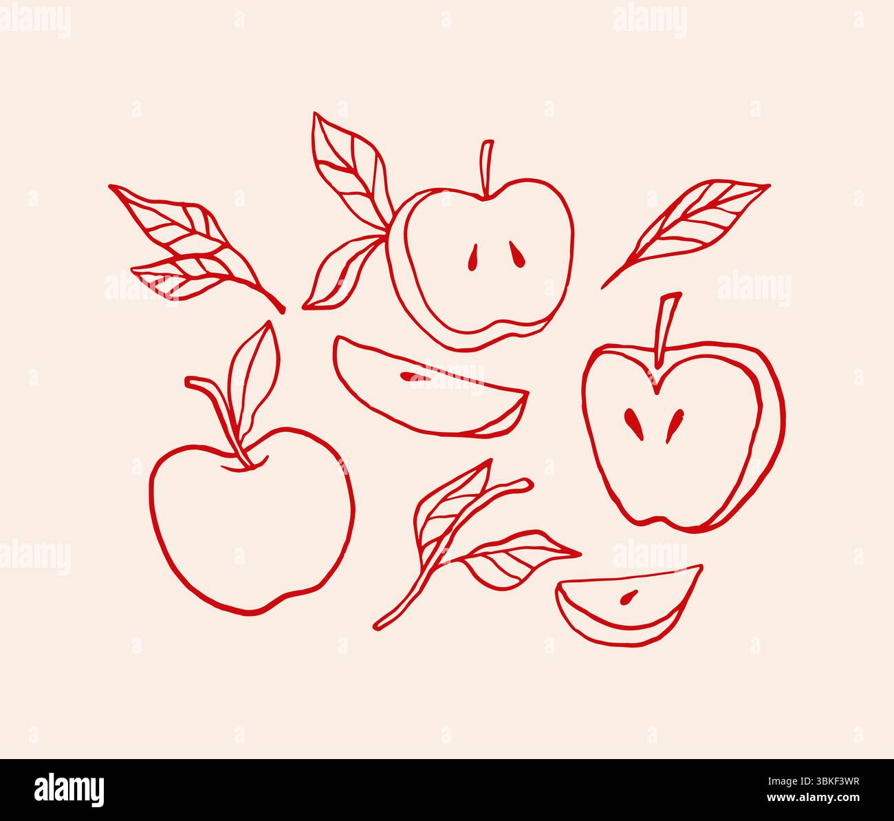 Sfondo vintage disegnato a mano con mele e foglie. Illustrazione Vettoriale