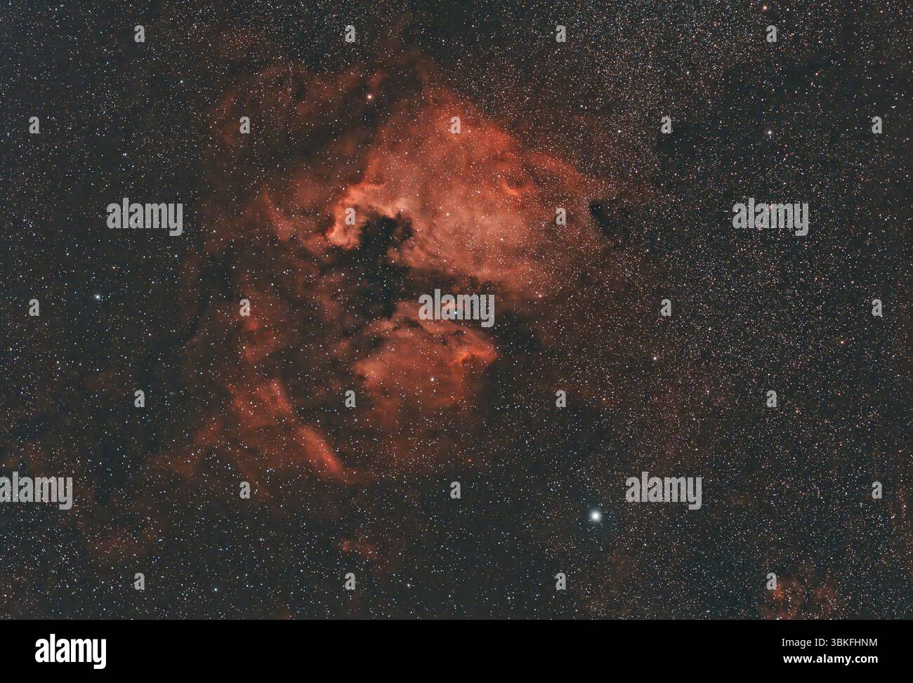 Nebulosa nordamericana (NGC 7000, Caldwell 20) una nebulosa di emissione nella costellazione di Cygnus, vicino a Deneb Foto Stock