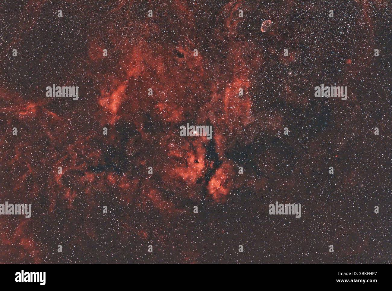 Regione di Sadr (IC 1318 o gamma Cygni Nebula), nebulosa ad emissione diffusa che circonda Sadr (γ Cygni) al centro della croce di Cygnus Foto Stock