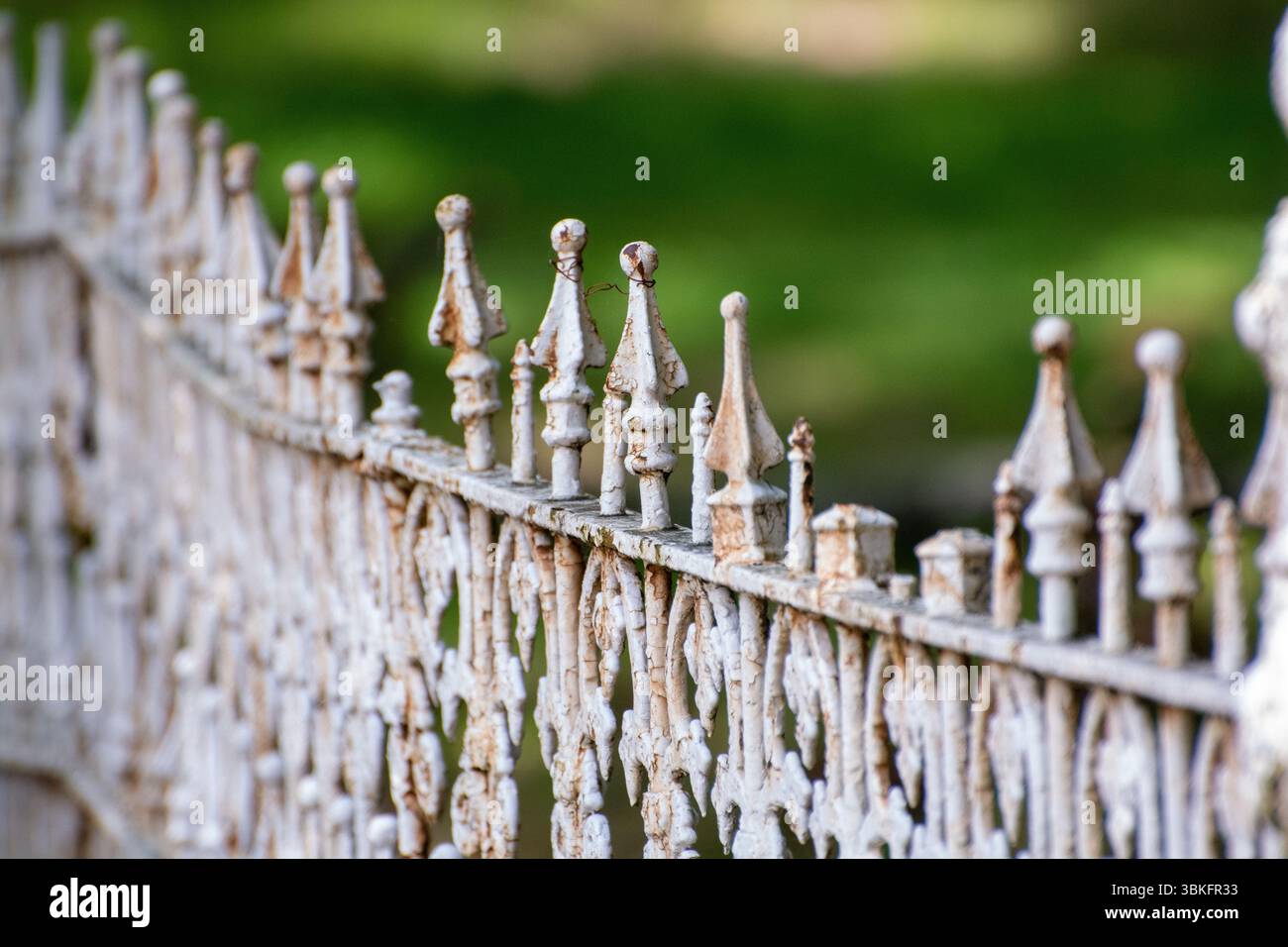 Recinzioni in ferro battuto, Concord, North Carolina, distretto storico Foto Stock