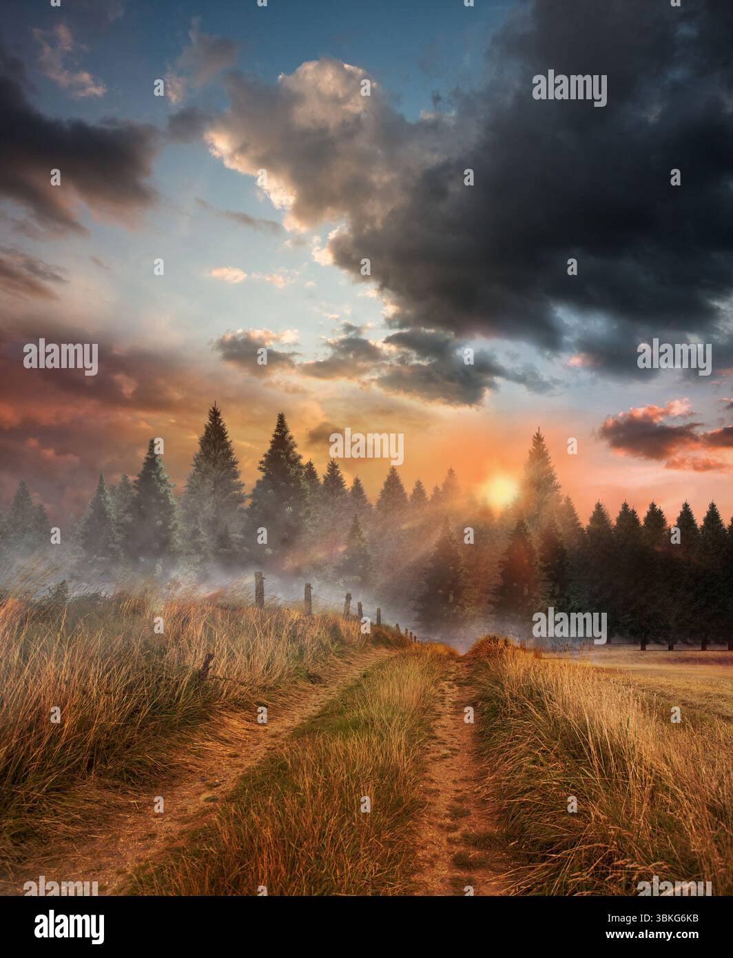 Il cingolo dello pneumatico si avvolge tra erba dorata nebbiosa, pali di recinzione sotto il sole nascente in piano Foto Stock