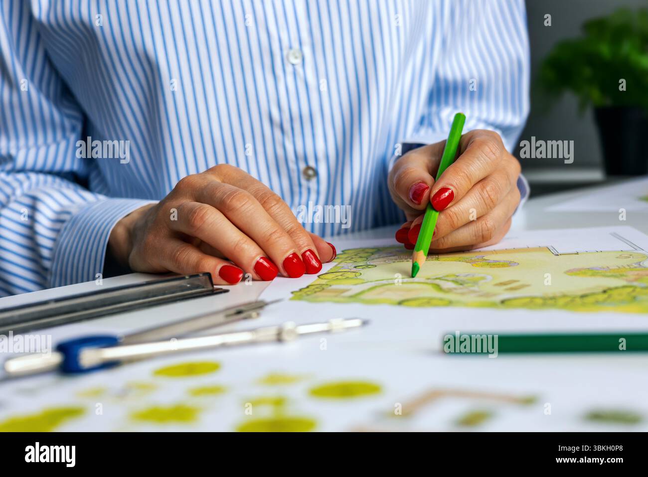 architetto paesaggista, designer che disegna la pianta ornamentale del giardino in ufficio Foto Stock