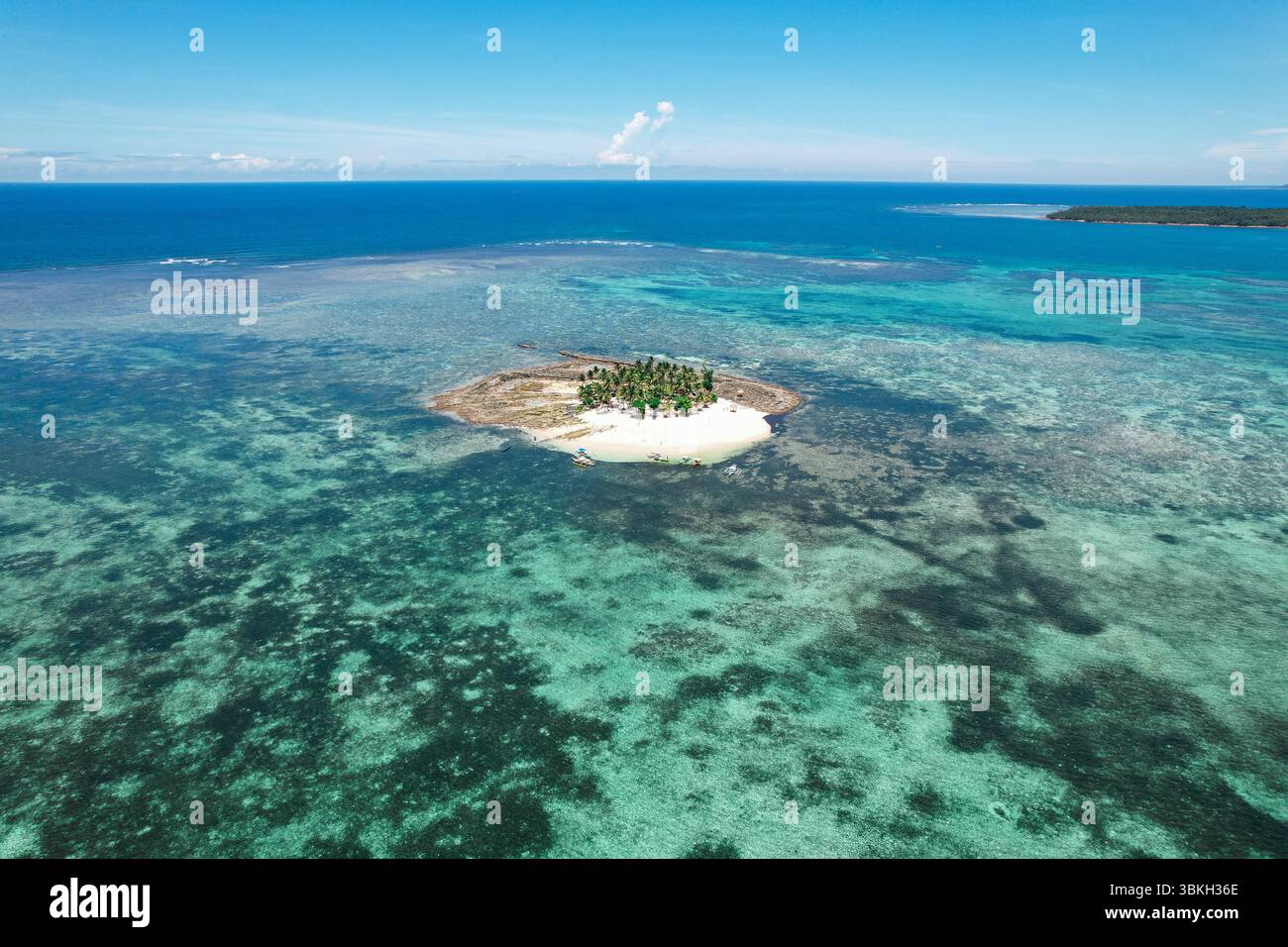 Vista aerea, isola ricoperta di palme, barriera corallina turchese: Splendido isolotto tropicale circondato da vibranti acque coralline, che irradiano serenità, isolamento e natu Foto Stock