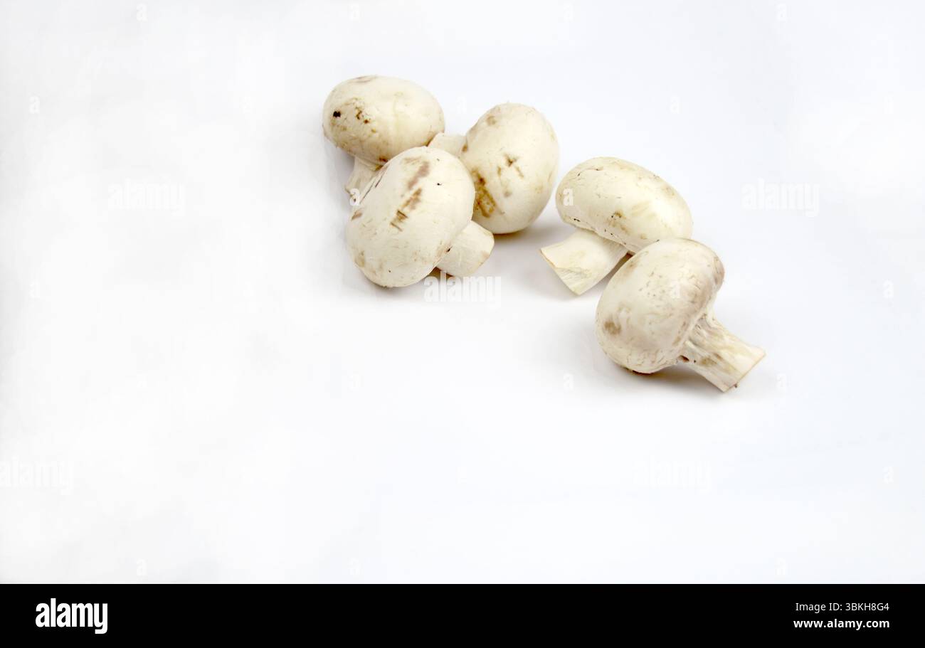 Funghi su sfondo bianco. Tema nutrizionale Foto Stock