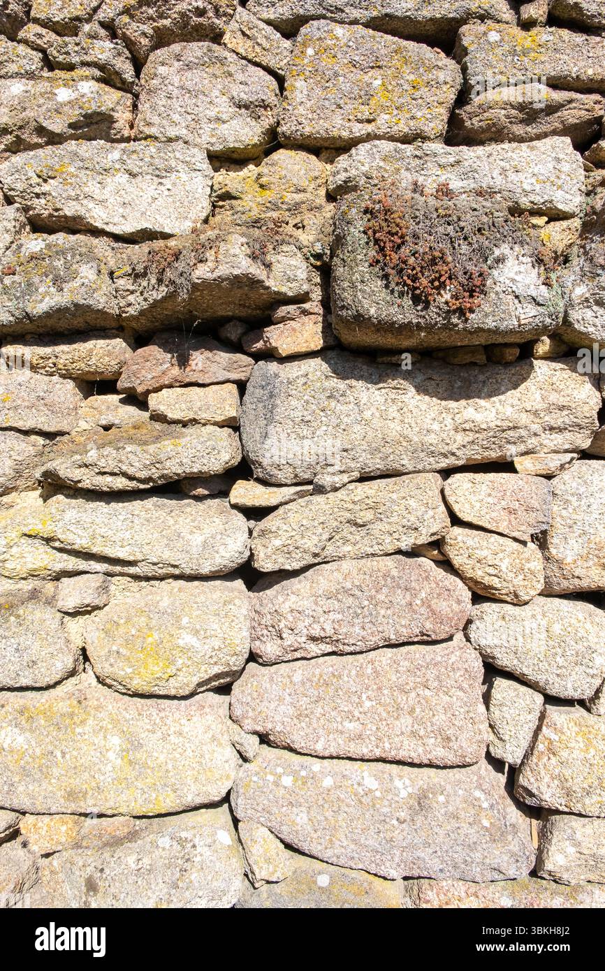fondo rustico in pietra secca con consistenza naturale e licheni Foto Stock