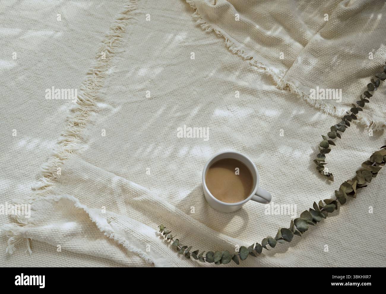 Coperta di lancio bianca per caffè mattutino con foto organiche, sfondo naturale all'eucalipto con ombre naturali Foto Stock