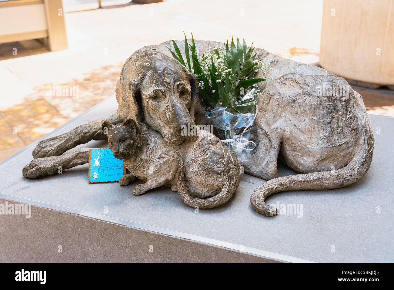 Scultura in bronzo di un cane e un gatto che giacciono insieme, onora gli animali abbandonati, responsabilità verso gli animali randagi - Valencia, Spagna, 05.06.2023 Foto Stock