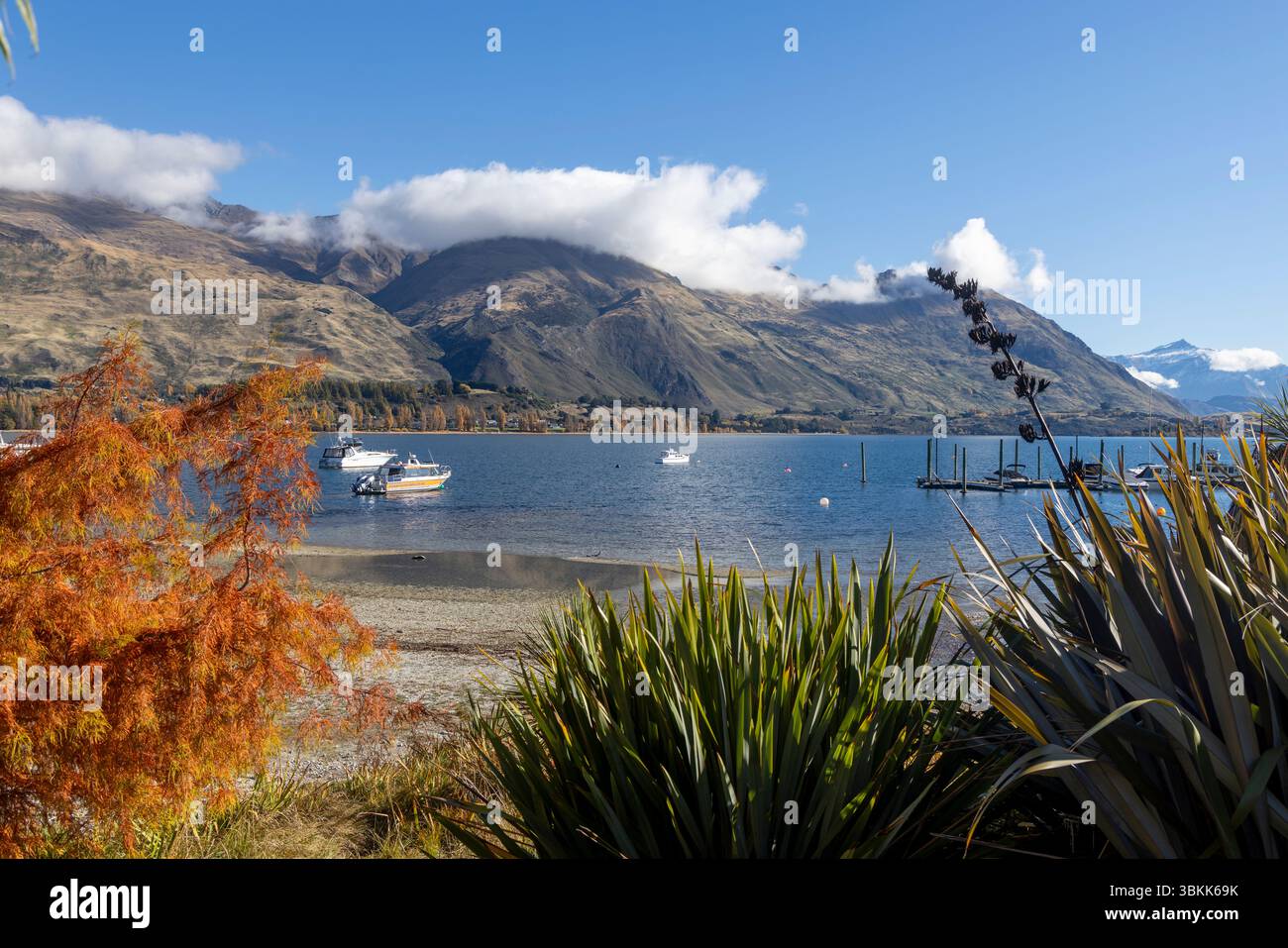 Wanaka, regione di Otago, nuova Zelanda, vista panoramica del lago Wanaka in una giornata d'autunno soleggiata con Roys Bay e vista sull'aspirante parco nazionale di Mount Foto Stock