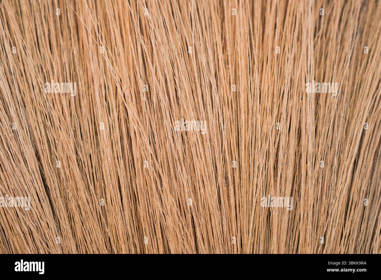 Scopa della paglia Foto Stock