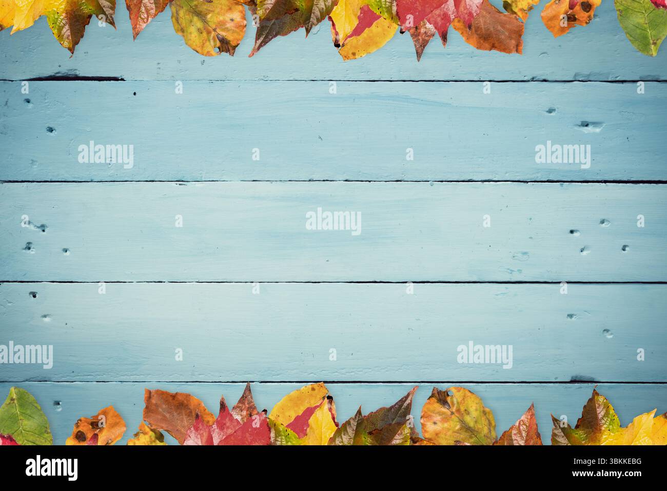 Le foglie autunnali colorate incorniciano la superficie rustica in legno blu con un design piatto Foto Stock