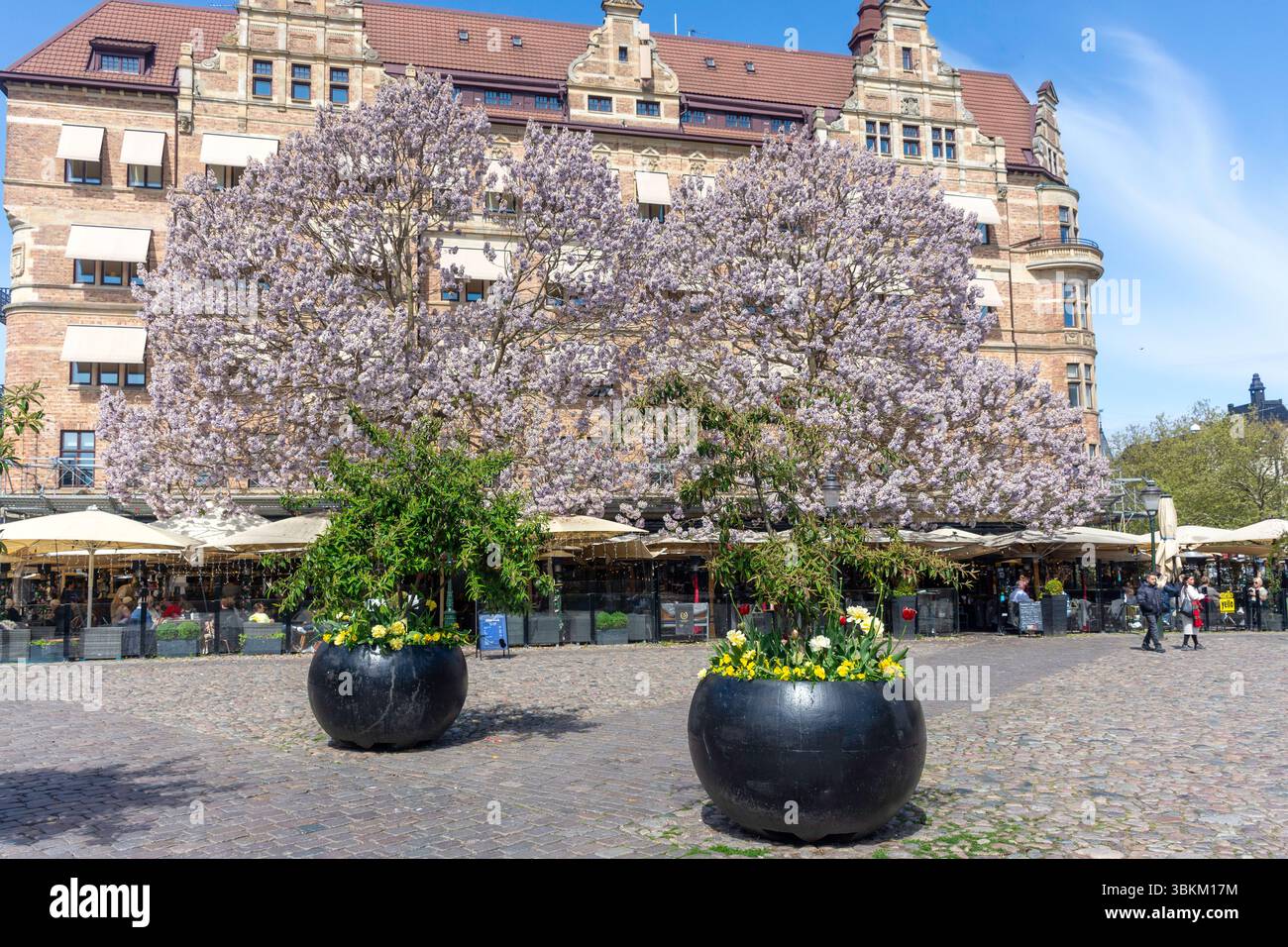 Ristoranti all'aperto, Lilla torg, Malmö, provincia di Scania, Regno di Svezia Foto Stock