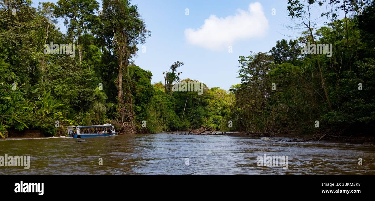 Turisti che si godono una gita in barca lungo i canali della giungla del parco nazionale di tortuguero, costa rica Foto Stock
