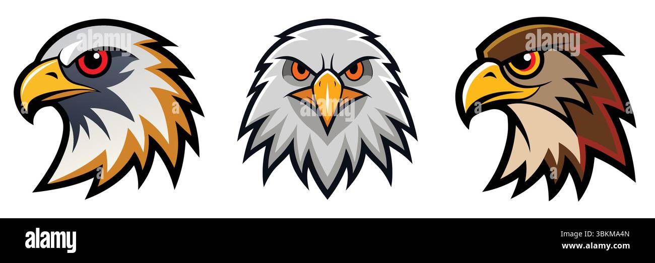 teste di aquila stilizzate: viste di profilo, frontale e profilo, illustrazione vettoriale Illustrazione Vettoriale