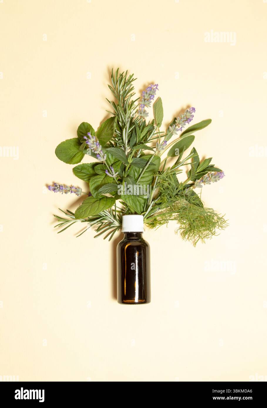Un albero fatto di erbe naturali di rosmarino, lavanda, mojito di menta, aneto e una bottiglia di olio essenziale. Concetto naturale di salute. Foto Stock