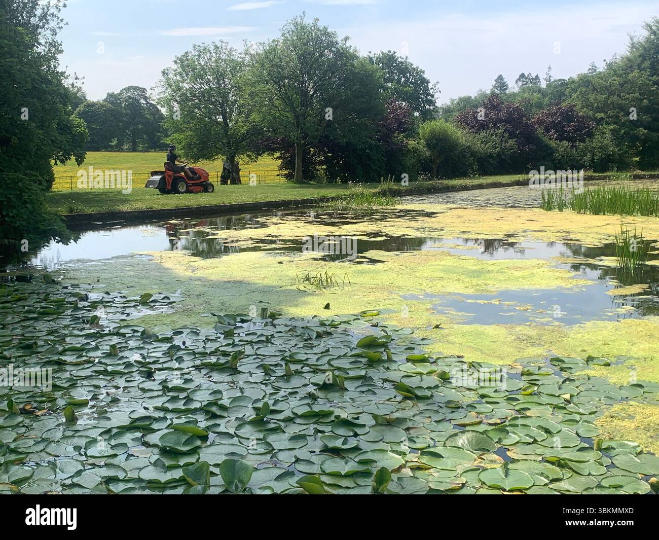 Sizergh Castle Low Sizergh Barn Lake District Regno Unito Inghilterra cartelli National Trust Property Outside Old history Historic green Place Places - Immagine stock catturata con smartphone