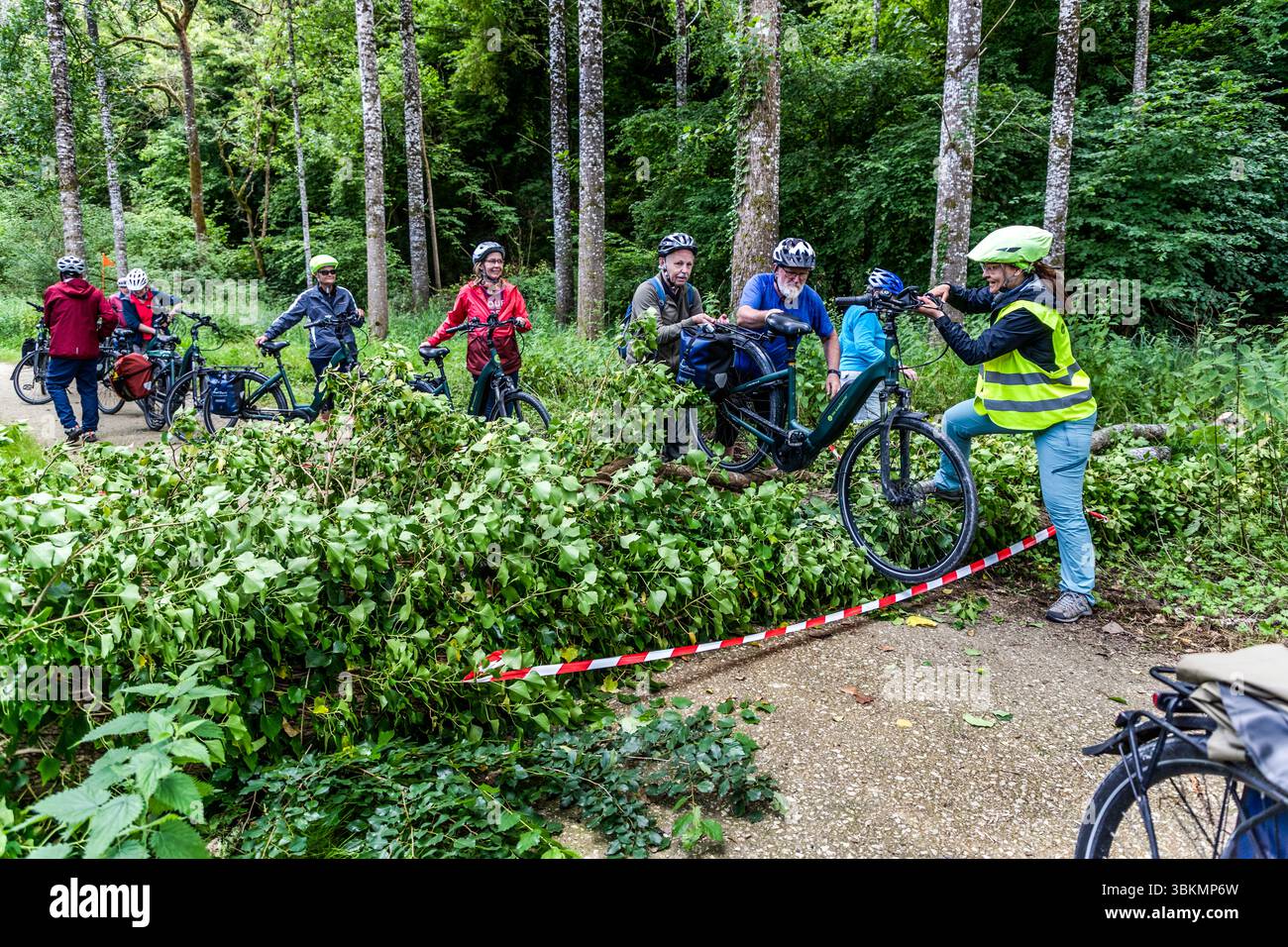 Tour in bicicletta di gruppo da Die Landpartie sulla strada a Charente. Nonostante un'attenta pianificazione, ci sono sempre circostanze impreviste, come un albero caduto sulla pista ciclabile, che viene superato insieme. I ciclisti sono bloccati lungo un percorso forestale da un ostacolo fatto di rami e foglie. Cercano di superare la barriera con le loro moto per continuare il loro viaggio. Bourg-Charente, Nouvelle-Aquitaine, Francia Foto Stock