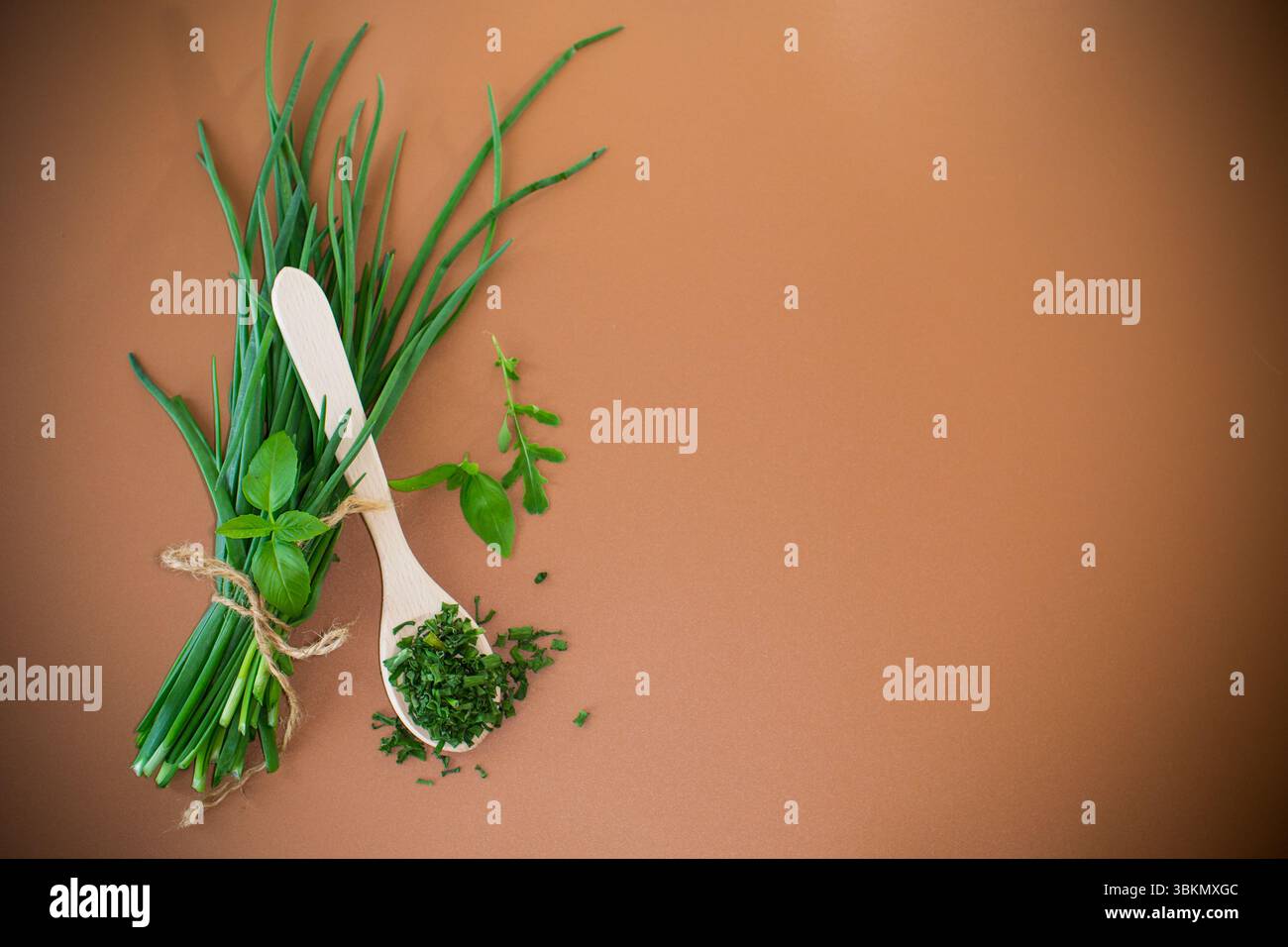 Condimenti naturali da verdure e cipolle su sfondo marrone. Foto Stock