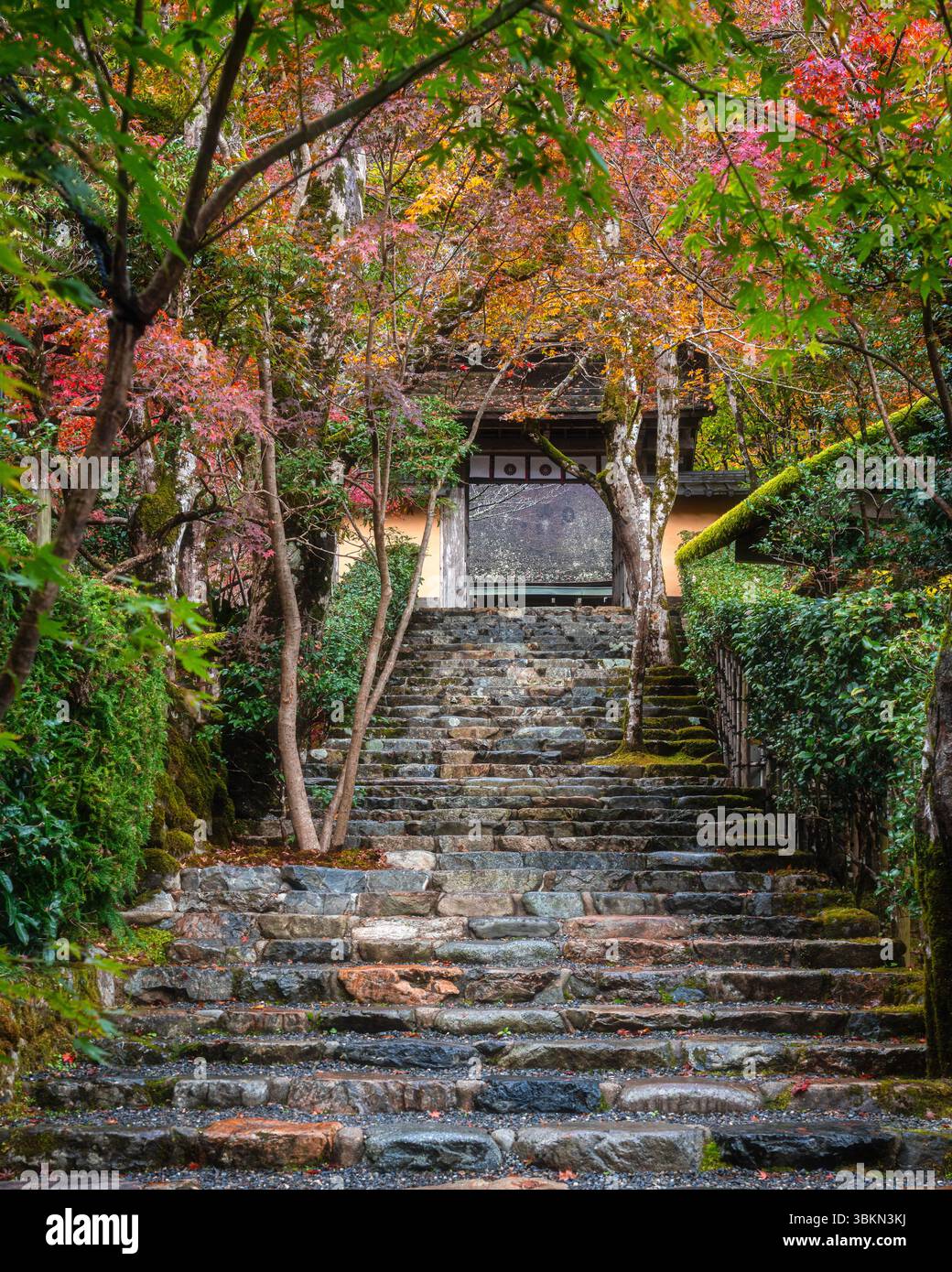 Il bellissimo tempio Jakko-in di Ohara durante la stagione autunnale. Kyoto, Giappone. Foto Stock