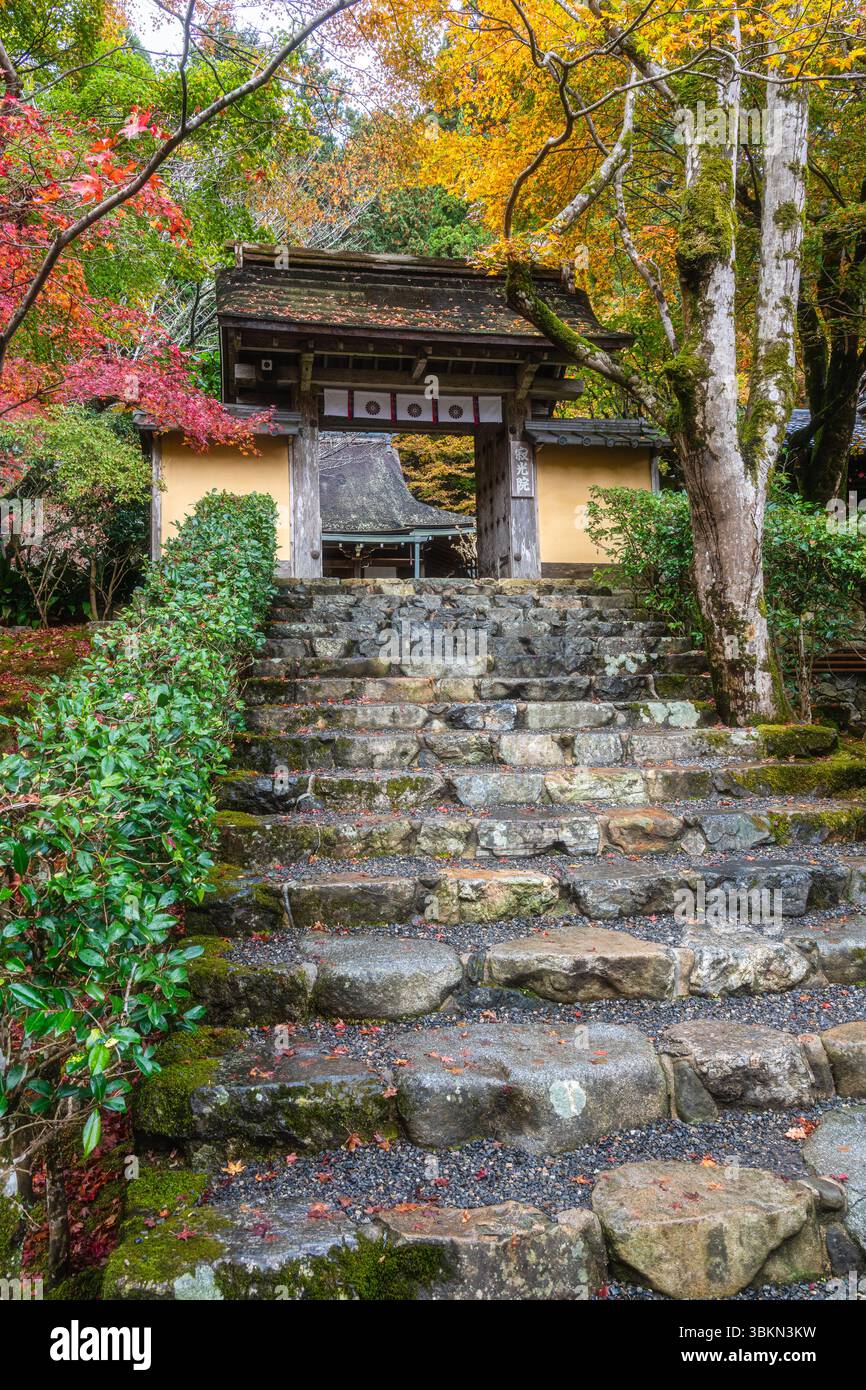 Il bellissimo tempio Jakko-in di Ohara durante la stagione autunnale. Kyoto, Giappone. Foto Stock