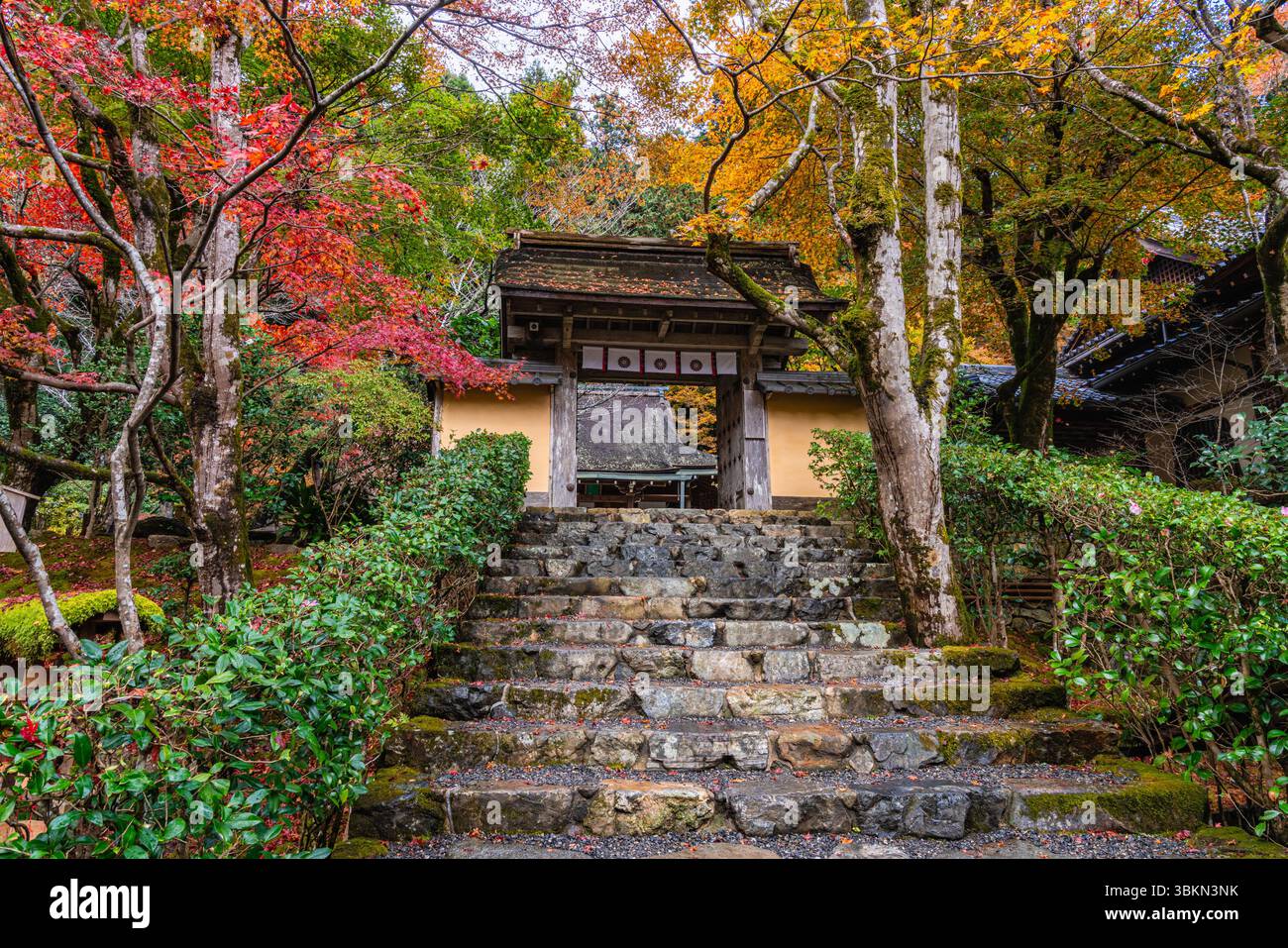 Il bellissimo tempio Jakko-in di Ohara durante la stagione autunnale. Kyoto, Giappone. Foto Stock