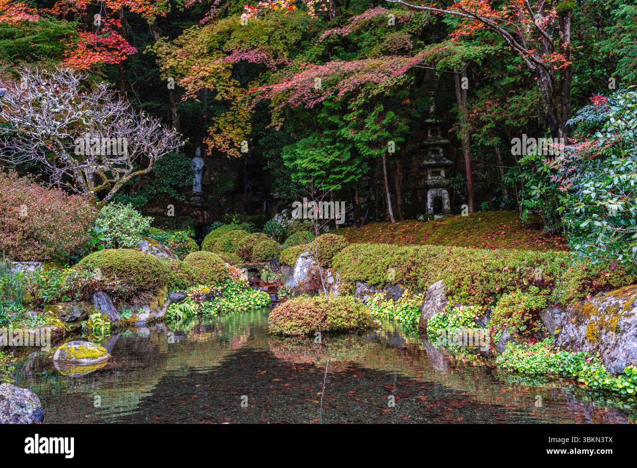 Il bellissimo tempio Jakko-in di Ohara durante la stagione autunnale. Kyoto, Giappone. Foto Stock