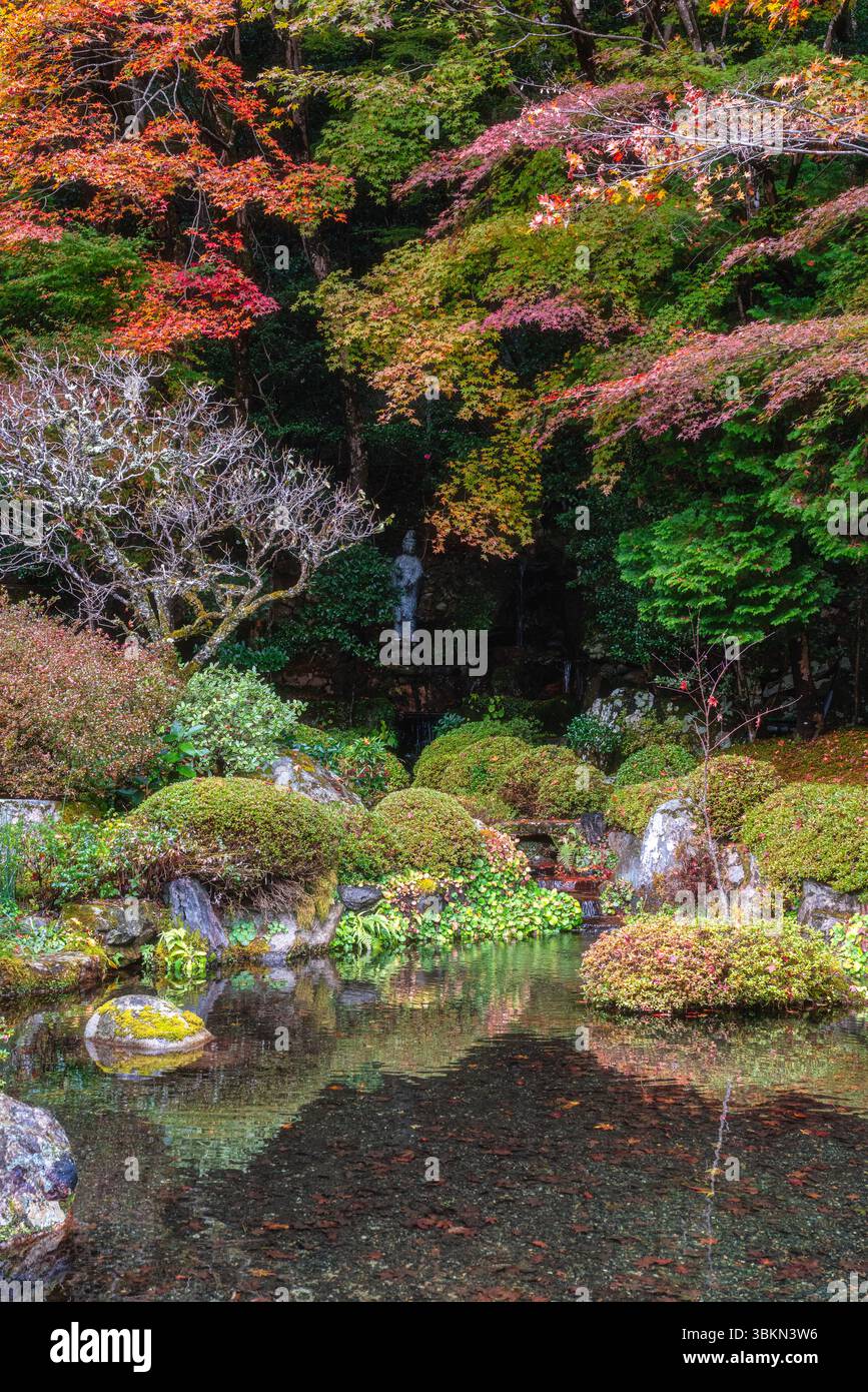 Il bellissimo tempio Jakko-in di Ohara durante la stagione autunnale. Kyoto, Giappone. Foto Stock