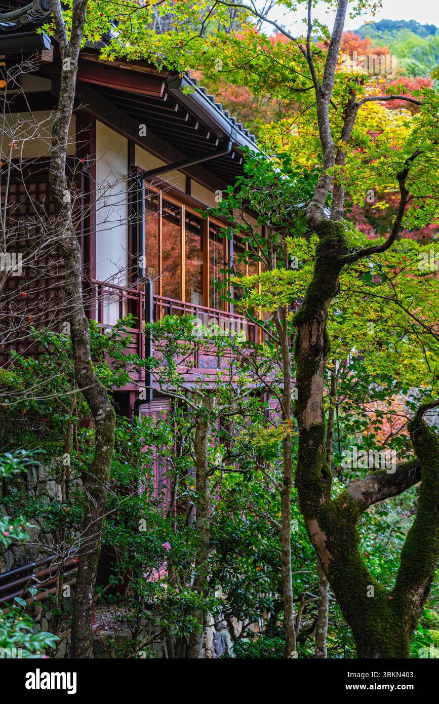 Il bellissimo tempio Jakko-in di Ohara durante la stagione autunnale. Kyoto, Giappone. Foto Stock
