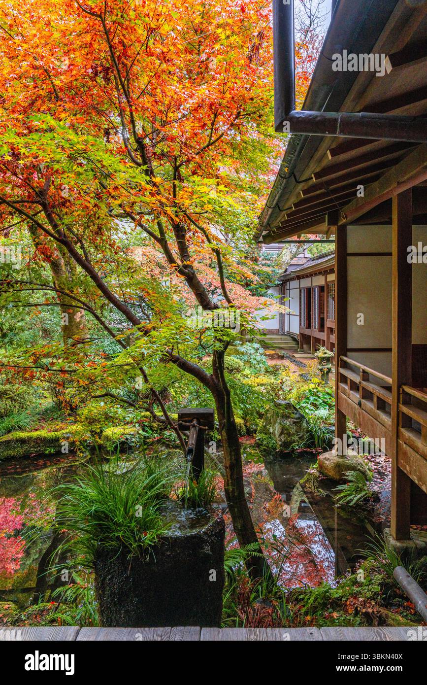 Il bellissimo tempio di Sanzen-in a Ohara durante la stagione autunnale. Kyoto, Giappone. Foto Stock