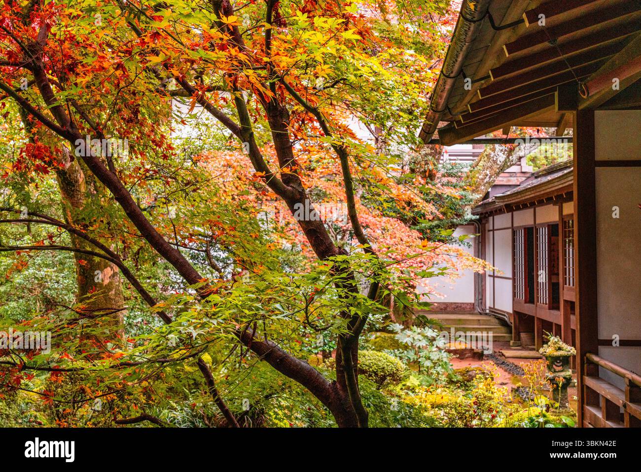 Il bellissimo tempio di Sanzen-in a Ohara durante la stagione autunnale. Kyoto, Giappone. Foto Stock