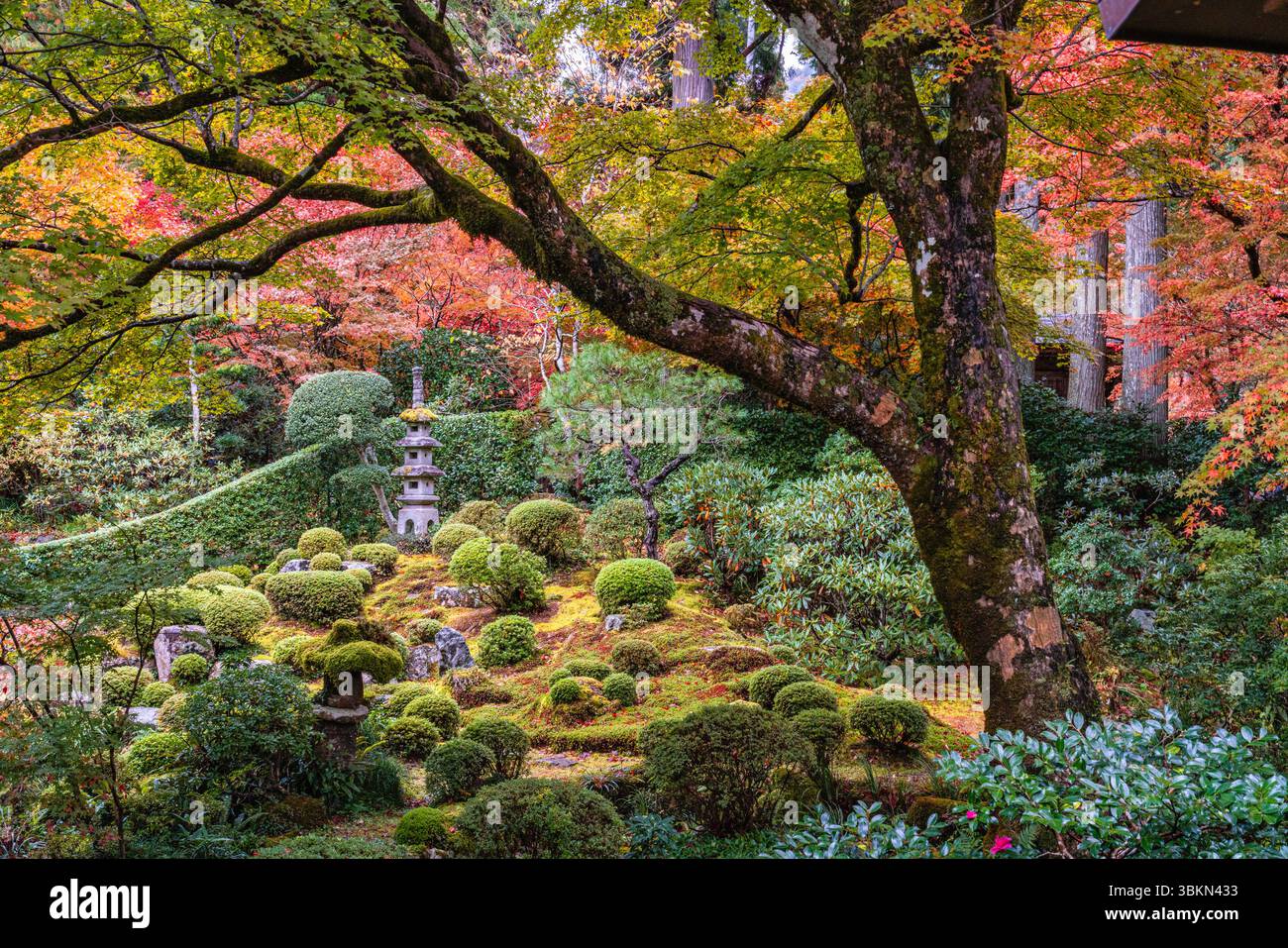 Il bellissimo tempio di Sanzen-in a Ohara durante la stagione autunnale. Kyoto, Giappone. Foto Stock