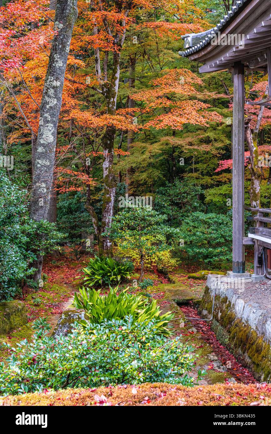 Il bellissimo tempio di Sanzen-in a Ohara durante la stagione autunnale. Kyoto, Giappone. Foto Stock