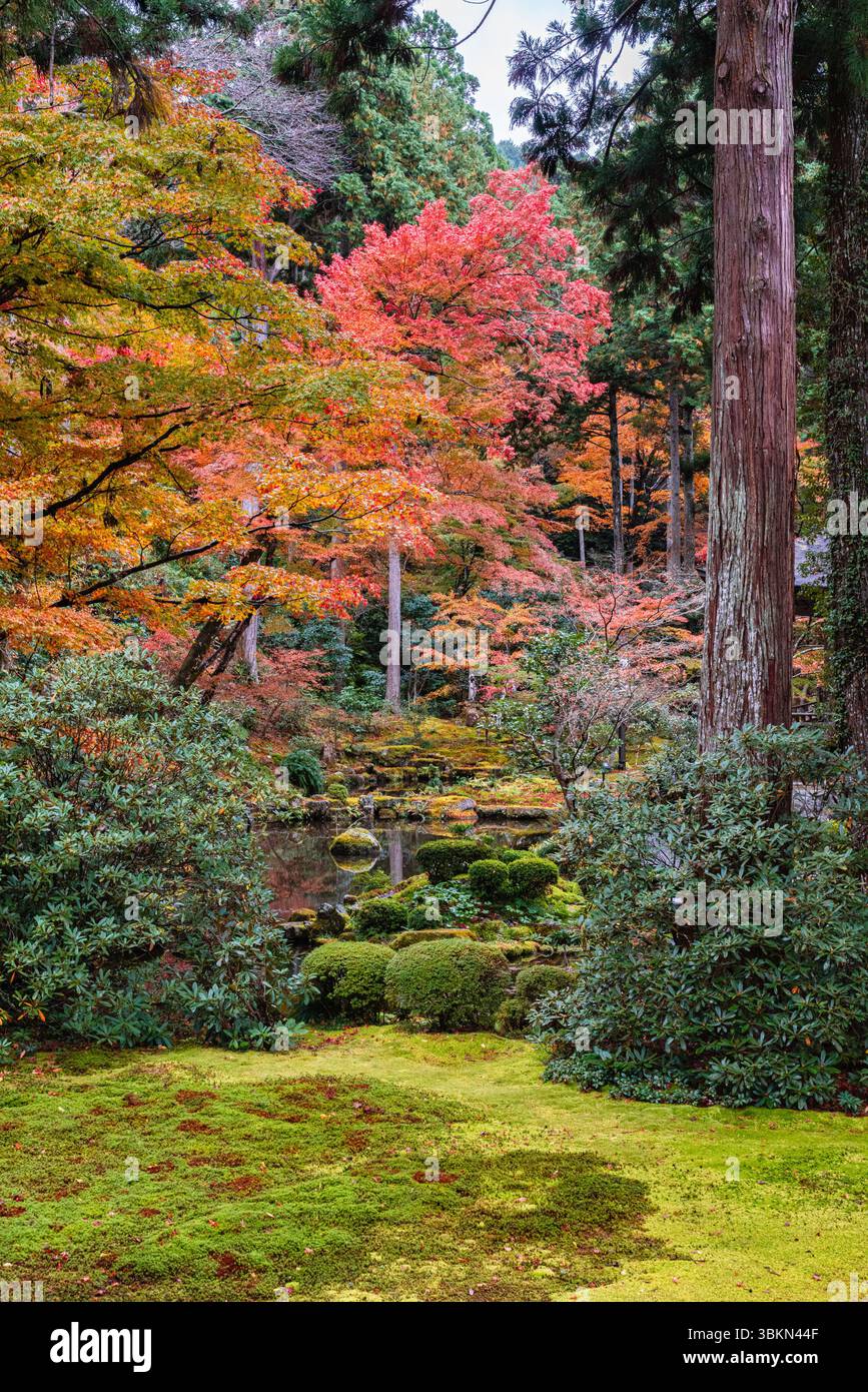 Il bellissimo tempio di Sanzen-in a Ohara durante la stagione autunnale. Kyoto, Giappone. Foto Stock