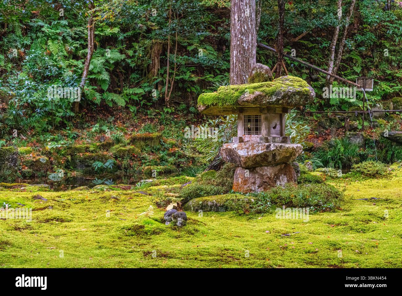 Il bellissimo tempio di Sanzen-in a Ohara durante la stagione autunnale. Kyoto, Giappone. Foto Stock