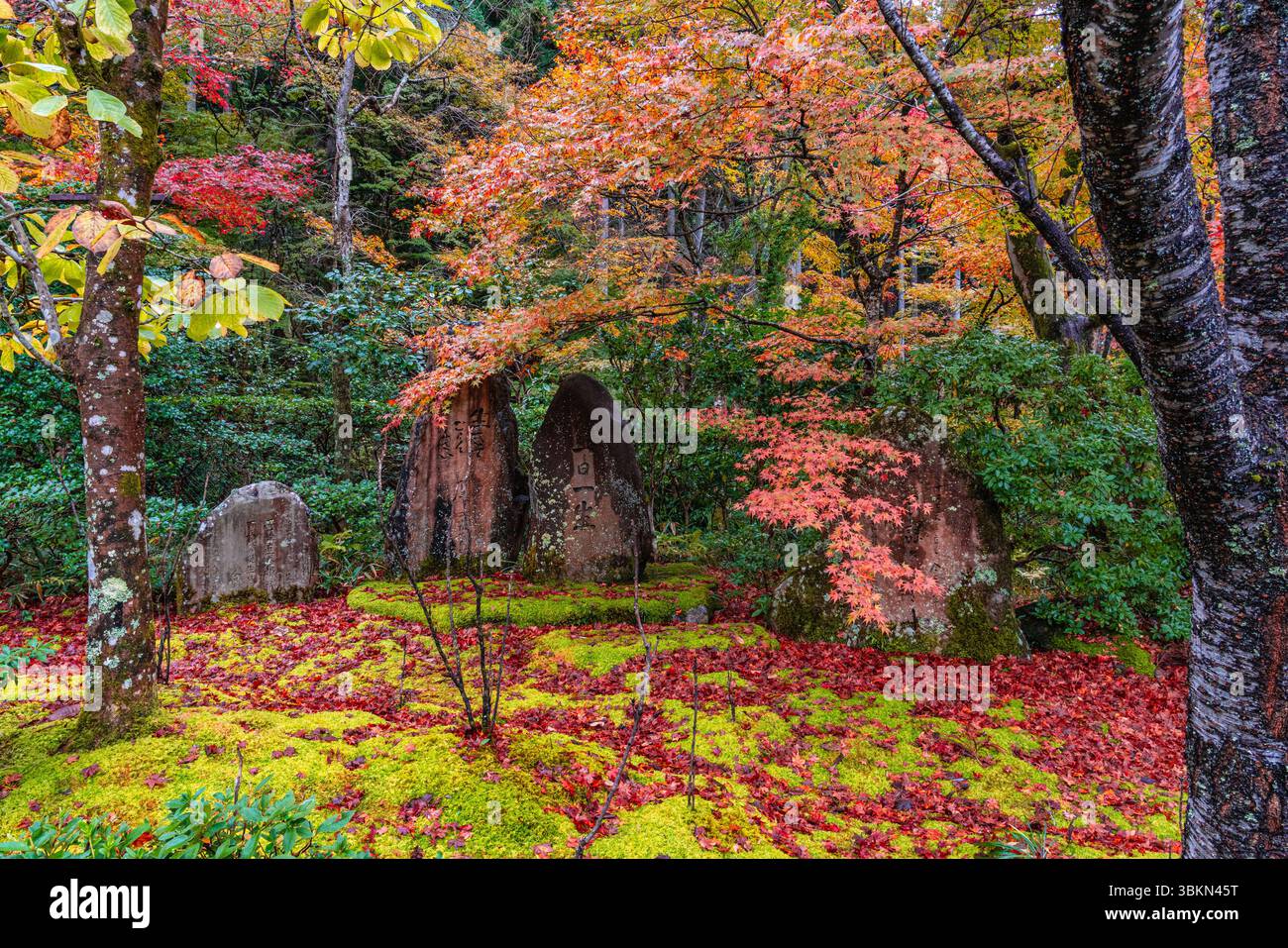 Il bellissimo tempio di Sanzen-in a Ohara durante la stagione autunnale. Kyoto, Giappone. Foto Stock