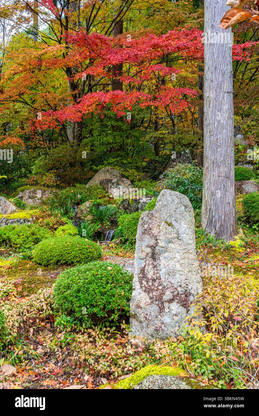 Il bellissimo tempio di Sanzen-in a Ohara durante la stagione autunnale. Kyoto, Giappone. Foto Stock