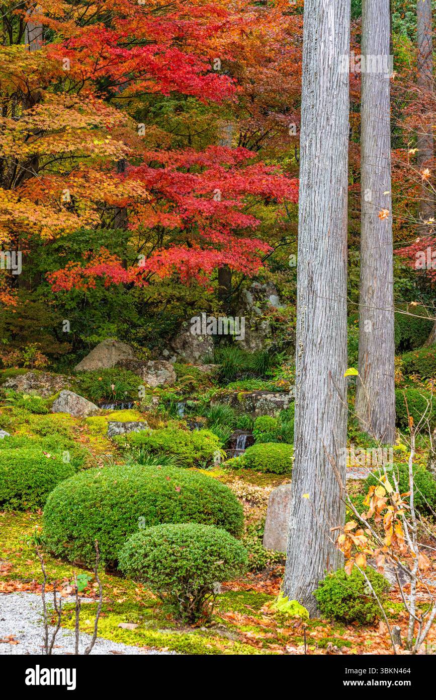 Il bellissimo tempio di Sanzen-in a Ohara durante la stagione autunnale. Kyoto, Giappone. Foto Stock