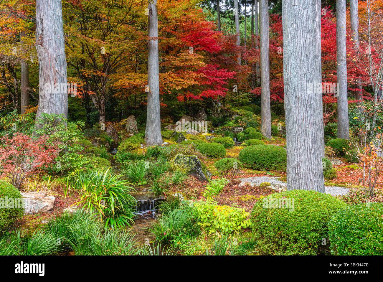 Il bellissimo tempio di Sanzen-in a Ohara durante la stagione autunnale. Kyoto, Giappone. Foto Stock