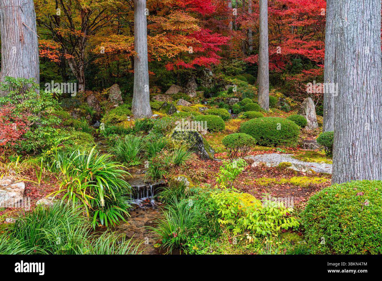 Il bellissimo tempio di Sanzen-in a Ohara durante la stagione autunnale. Kyoto, Giappone. Foto Stock