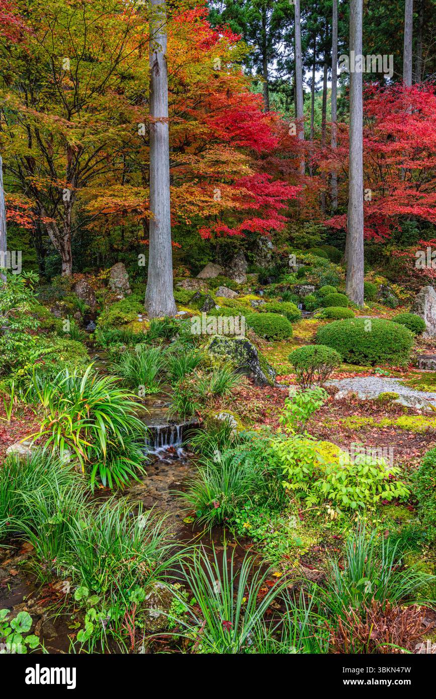 Il bellissimo tempio di Sanzen-in a Ohara durante la stagione autunnale. Kyoto, Giappone. Foto Stock