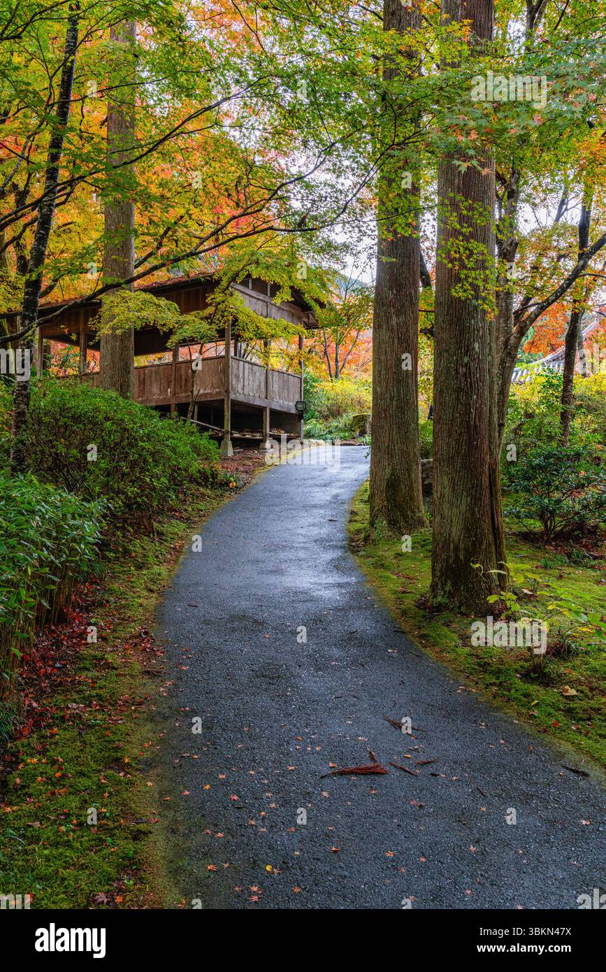 Il bellissimo tempio di Sanzen-in a Ohara durante la stagione autunnale. Kyoto, Giappone. Foto Stock