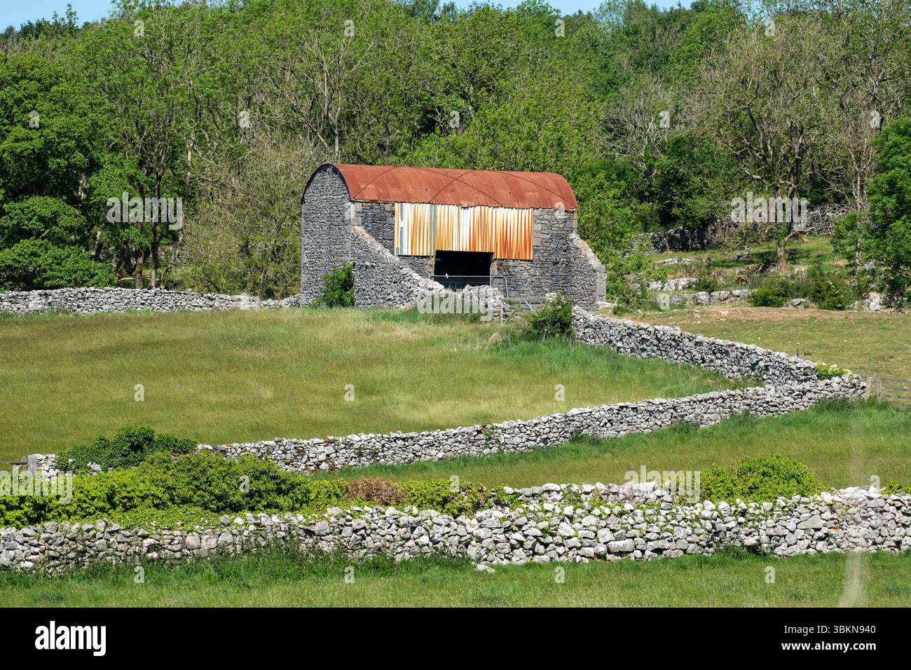 Un fienile in pietra con tetto in metallo vicino a Warton, Lancashire, Regno Unito Foto Stock