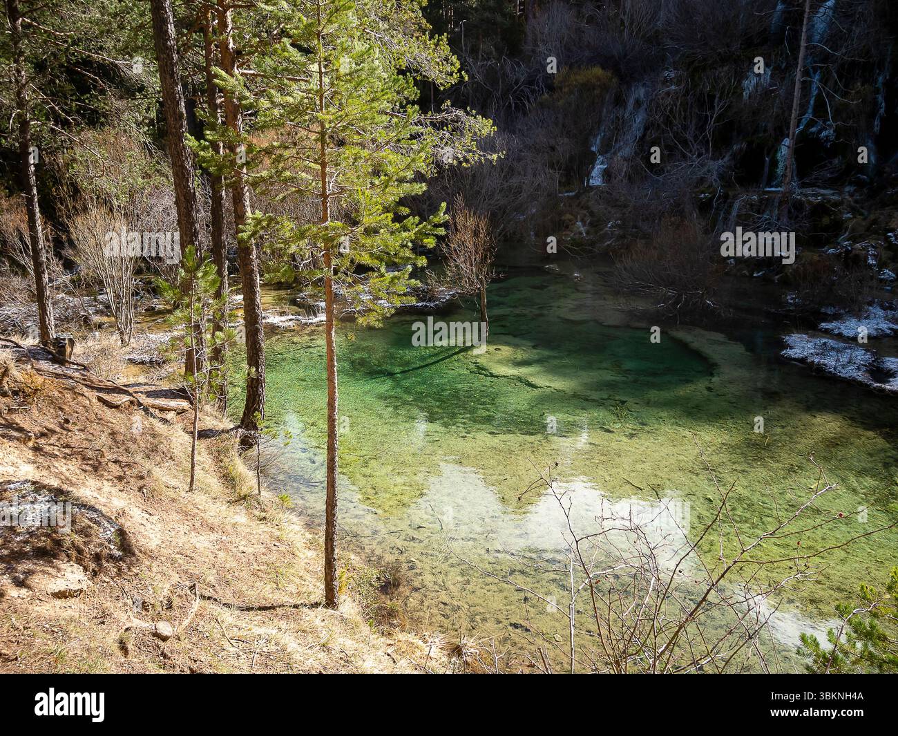 Un sereno corpo d'acqua riflette gli alberi che lo circondano, annidato in una tranquilla zona montana in una giornata di sole. Foto Stock